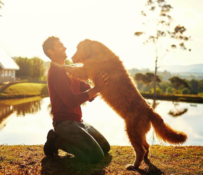 Dog standing with paws on mans shoulders
